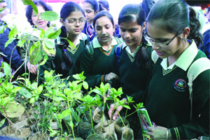 Students study plants during annual Eco-Meet-cum-Exhibition at Talkatora Stadium in New Delhi on Tuesday. 