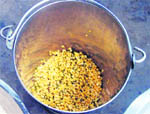 Cereals meant to be served to 157 students in Government Primary School near Jagraon in a bucket.