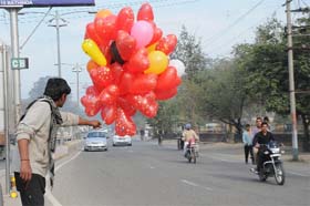 Day of love: A vendor carries heart-shaped balloons on a busy road near Rose Garden in Bathinda on Thursday. February 14 is celebrated as the Valentines Day