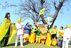 Dressed in yellow, teachers and students fly kites on the eve of Basant Panchmi at a school in Patiala on Thursday. 