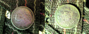 A view of the coins recovered from Nadori village in Fatehabad. 