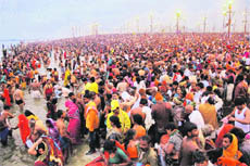 Devotees take a holy dip at the Sangam on the occasion of Basant Panchami during the Maha Kumbh Mela in Allahabad on Friday.