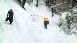 Schoolchildren walk during snowfall at Lahaul on Saturday.