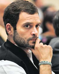 Rahul Gandhi, Congress vice-president