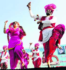 Students perform bhangra at SD College, Sector 32, in Chandigarh on Monday