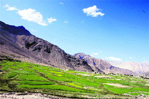 A photograph of the Mushko valley which has been selected for a national award. 