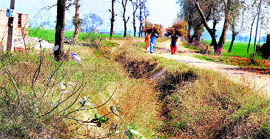 A view of a dry water channel at Drolibhai village in Moga.