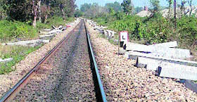 Concrete sleepers along side a track at Rajaji National Park.