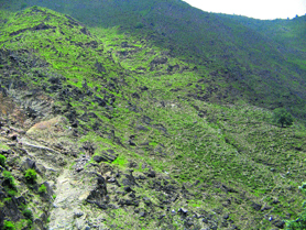 A barren hillside near Gehra on the Chamba-Bharmour highway.