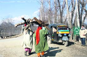 Women carry firewood on their heads in Sopore, 50 km north of Srinagar, on Tuesday