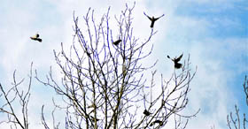 After a cold weekend, it was a cloudy day in Ludhiana on Tuesday.