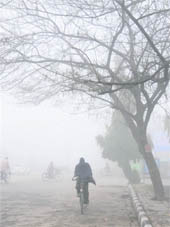 Traffic moves slowly on a foggy Wednesday morning in Karnal.