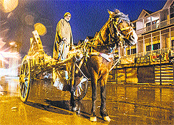 A tonga owner waits for customers at the Lal Chowk in Srinagar on Thursday