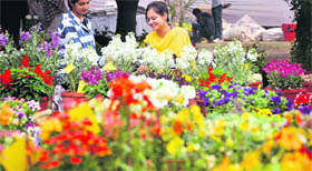 Pretty girls add to the beauty of the flower show at Punjab Agricultural University in Ludhiana on Thursday.