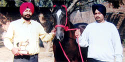 Sandeep Singh (left) with his mare that won the top prize at Bhatner horse fair.