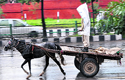 A cart driver goes innovative to protect himself from the rain