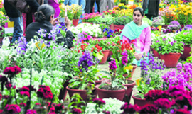 A girl clicks her friends photograph during the flower show at Punjab Agricultural University, Ludhiana. 