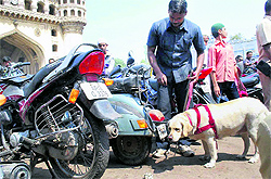 A dog squad combs the Makkah Masjid area near Charminar in the old city of Hyderabad during Friday prayers