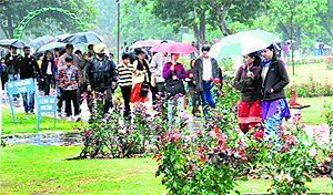 People with umbrellas at the Rose Garden, Sector 16, in Chandigarh on the second day of Rose Festival on Saturday