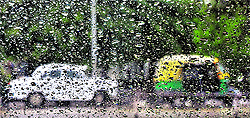 A rain scene captured by Tribune lensman S Chandan in Chandigarh on Saturday