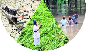 The projection: Drought days in Kharif set to rise; untimely strong winds may flatten crops; extreme precipitation; heavy rainfall could lead to frequent floods.