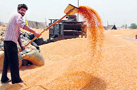 Rs 1 lakh cr Current food subsidy. Rs 20,000 cr Extra burden expected from the Food Security Bill.