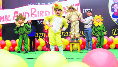 OPS Vidya Mandir children celebrate Grandparents Day in Karnal on Saturday.