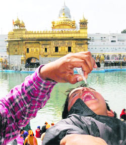 A child being administered polio drops at the Golden temple in Amritsar on Sunday.