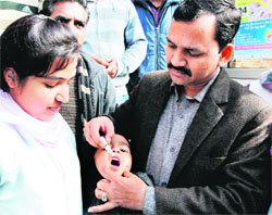 A child gets polio drops in Amritsar on Sunday. 