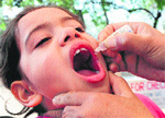 Polio drops being administered to a child on Sunday. Tribune Photo: Parvesh Chauhan