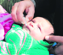 A child being administered polio drops in Amritsar on Monday.
