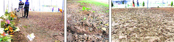 Flowers that once decked up the Leisure Valley were seen strewn;(centre) damaged flowerbeds adjoining Shanti Kunj where the vehicles were parked; (right) the lawn full of slush after the Rose Festival ended on Manday.