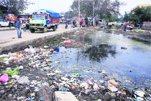 a garbage dump at the entry of Maqsudan Sabzi Mandi.
