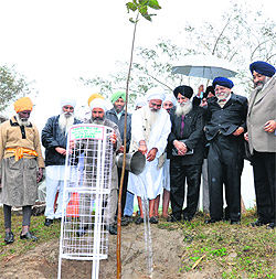 Baba Sewa Singh Khadur Sahibwale plants a sapling on the Amritsar-Jalandhar GT Road on Tuesday