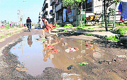 Water accumulated on a road in Sector 49, Chandigarh