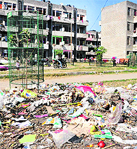 Garbage strewn in a park near the EWS flats; and (below) wild growth dots the area
