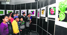 Students appreciate photographs displayed during an exhibition at Saupin's School in Sector 32, Chandigarh, on Thursday. 