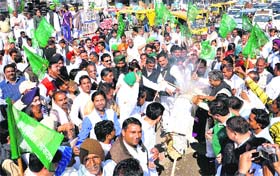 Activists of the Indian National Lok Dal burn an effigy of the state government and Congress MLA Naresh Sharma against the communal comment against INLD MLA Phul Singh Valmiki in Karnal on Thursday