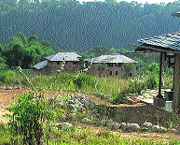 A view of an abandoned tea land on which a house has been built through mud masonry. 