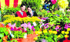 Two girls click photographs of flowers at Nehru Rose Garden in Ludhiana on Saturday. 