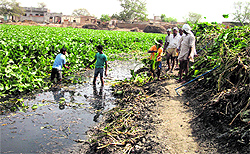 Ponds in Dangarkhera village are a source of environmental pollution