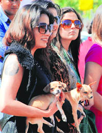 Girls with their pets at a dog show in Panchkula on Sunday.