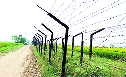 Barbed fencing along the India-Pakistan border in Ferozepur