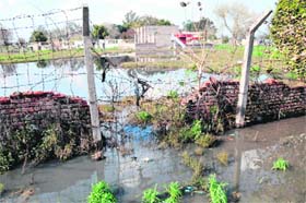 A view of stagnant water near the Central Jail residential complex, which is flooded with rain and sewerage water, in Amritsar