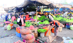 A view of the vegetable market located behind the Government Rajindra College in Bathinda. The market lacks basic civic amenities. Tribune photo: Pawan Sharma