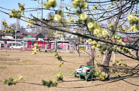 A man takes a nap on a bench in Srinagar on Thursday.
