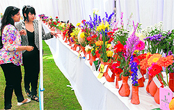 Visitors have a look at the cut flowers on display during the 27th Spring Festival organised at the Town Park, Sector 5, in Panchkula on Saturday