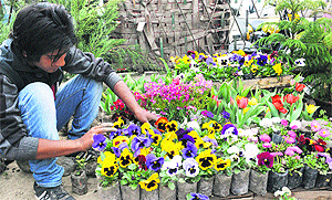Flowers on sale after the curfew was lifted, in Srinagar on Saturday