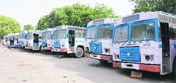 The condemned buses parked at the CTU depot. 