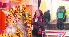 A devotee prays before Lord Shiva at a temple in Jammu on Sunday. 